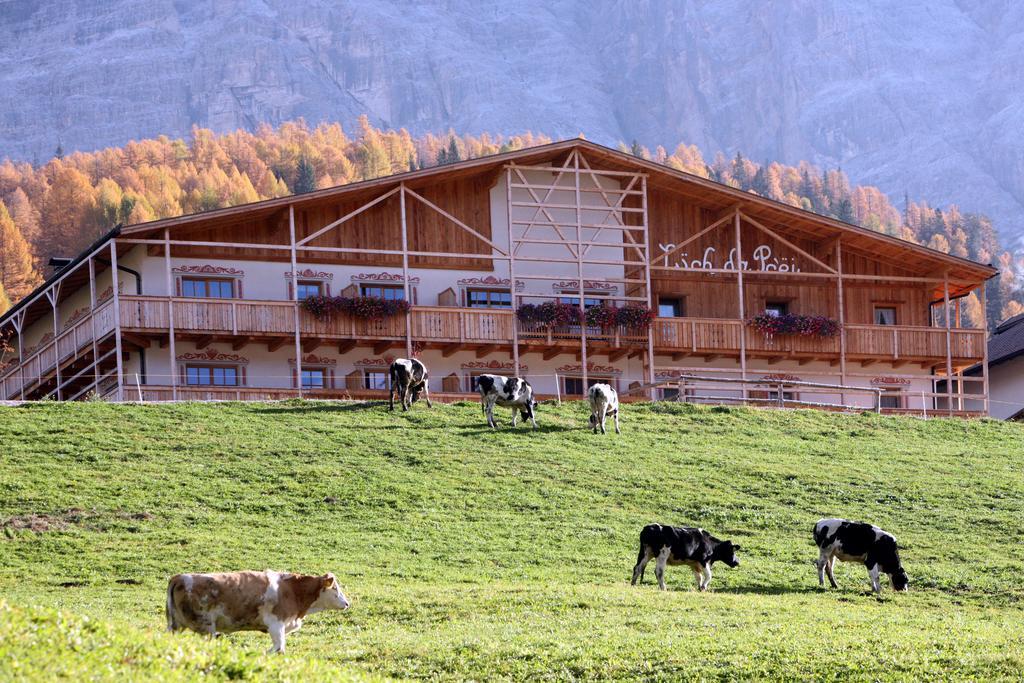 Hotel Luech Da Pcei à San Cassiano  Extérieur photo